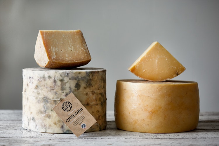 Cheddar